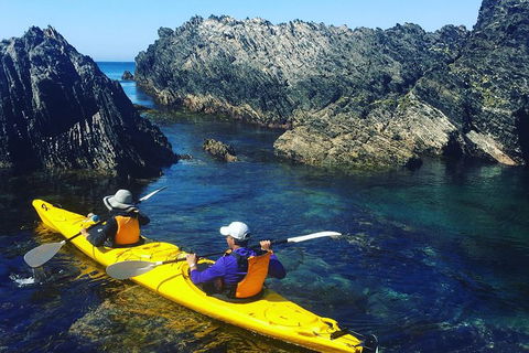 Half Day Sea Kayak Tour From Batemans Bay - Kempsey Accommodation 1