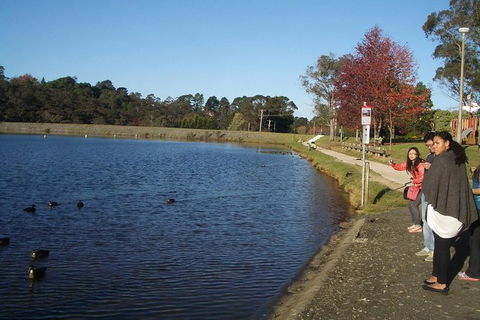 All-Day Blue Mountains Private Tour With Professional Guide For Up To 4 People - Kempsey Accommodation 24