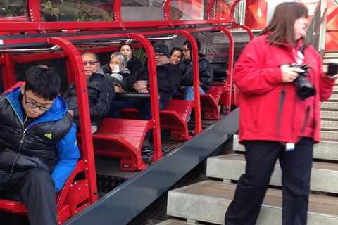 All-Day Blue Mountains Private Tour With Professional Guide For Up To 4 People - Kempsey Accommodation 8