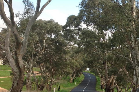 All-Day Blue Mountains Private Tour With Professional Guide For Up To 4 People - Kempsey Accommodation 22