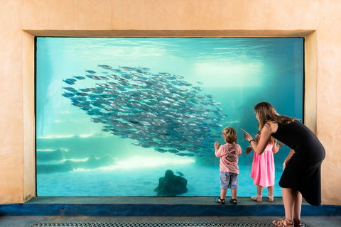 AQWA The Aquarium Of Western Australia - Kempsey Accommodation 0