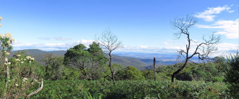 Blue Range Camping And Picnic Area - Kempsey Accommodation 0