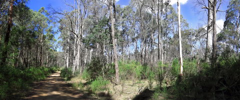 Blue Range Camping And Picnic Area - Kempsey Accommodation 1