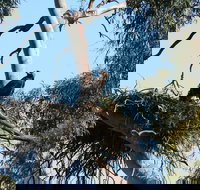 Castle Creek Reserve - Kempsey Accommodation