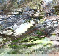 Gathercole Nature Reserve - Kempsey Accommodation