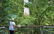 Grandis Picnic Area - thumb 0