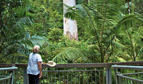 Grandis Picnic Area - Kempsey Accommodation 0