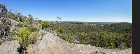 Hale Conservation Park - Kempsey Accommodation 0
