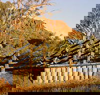 Illamurta Springs Conservation Reserve - Kempsey Accommodation