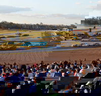 Ipswich Motorsport Precinct - Kempsey Accommodation