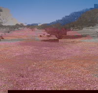 Meekatharra - Kempsey Accommodation