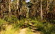 Mining Road Fire Trail, Old Gibber Road Rire Trail - thumb 0