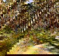 Mining Road Fire Trail Old Gibber Road Rire Trail - Kempsey Accommodation