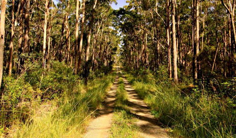 Mining Road Fire Trail, Old Gibber Road Rire Trail - Kempsey Accommodation 0