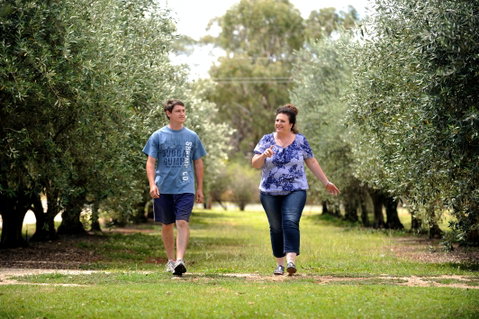 Olives Of Beaulieu - Kempsey Accommodation 0