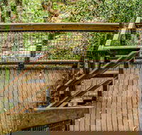 Somersby Falls walking track - Kempsey Accommodation