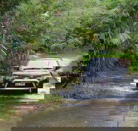 The Pioneer Valley and Eungella National Park - Kempsey Accommodation