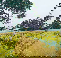 The Great Southern Drive - Kempsey Accommodation