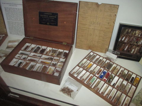 UQ Marks-Hirschfeld Museum Of Medical History - Kempsey Accommodation 0