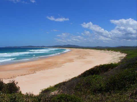 Wilsons Headland - Kempsey Accommodation 0