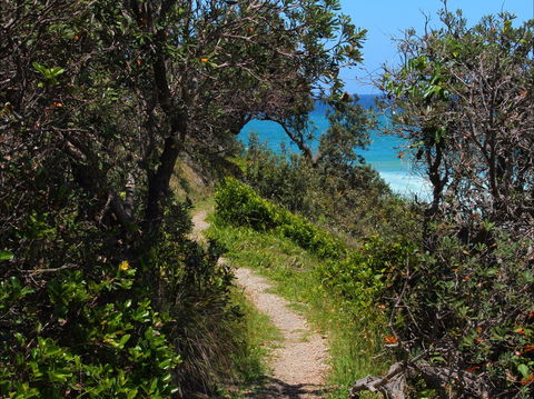 Wilsons Headland - Kempsey Accommodation 1