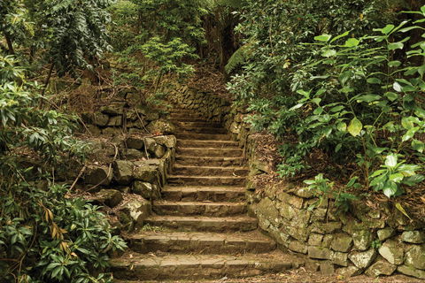William Ricketts Sanctuary - Kempsey Accommodation 1