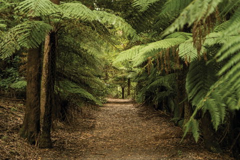 William Ricketts Sanctuary - Kempsey Accommodation 2