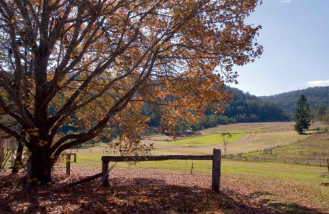 Yengo National Park - Kempsey Accommodation 1