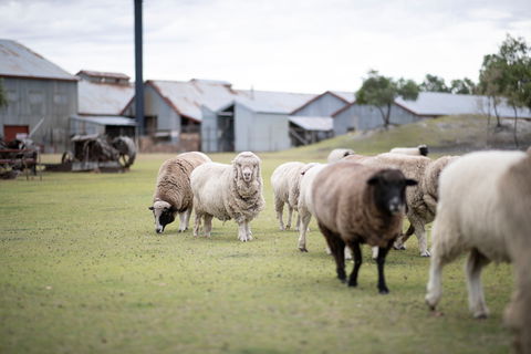 14 Day Gems Of The Outback - Kempsey Accommodation 2