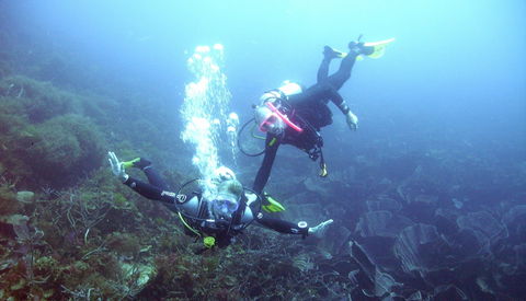 Abrolhos Islands - Kempsey Accommodation 2