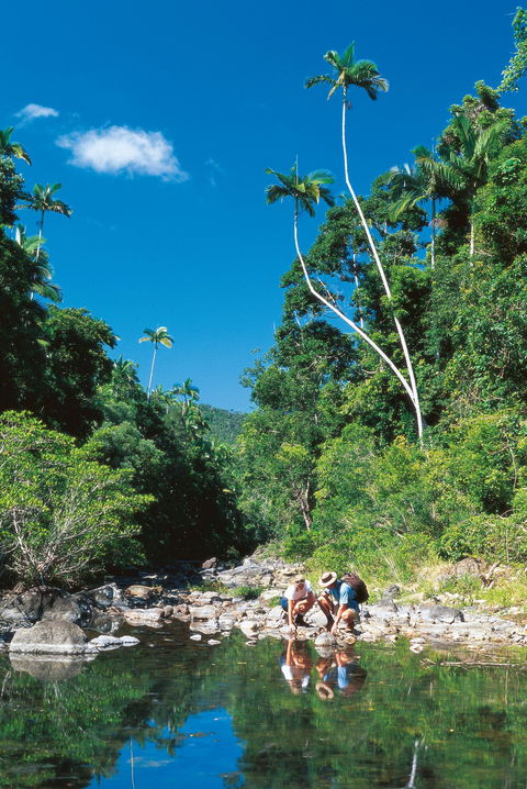 Airlie Beach To Cedar Creek Falls - Kempsey Accommodation 1