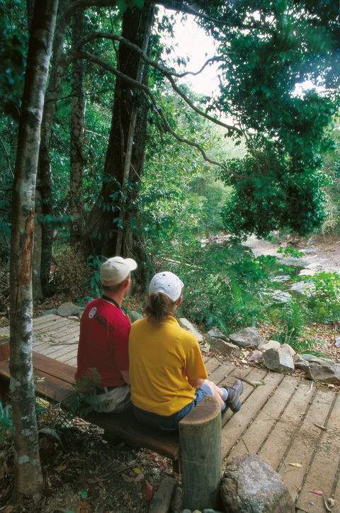 Airlie Beach To Cedar Creek Falls - Kempsey Accommodation 2