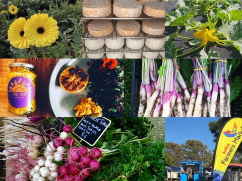 Ballina Farmers Market - Kempsey Accommodation 1