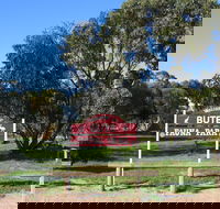 Bute - Kempsey Accommodation