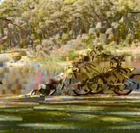 Creswick Regional Park - Kempsey Accommodation