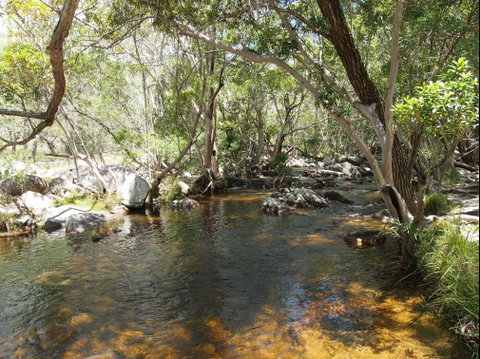 Emerald Creek, Dinden West Forest Reserve - Kempsey Accommodation 1