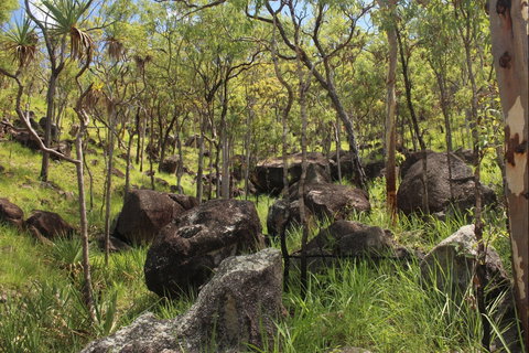 Emerald Creek, Dinden West Forest Reserve - Kempsey Accommodation 2