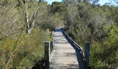Falcon Crescent Link Track - Kempsey Accommodation 0