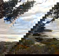 Fish Cannery Walking Trail - Kempsey Accommodation