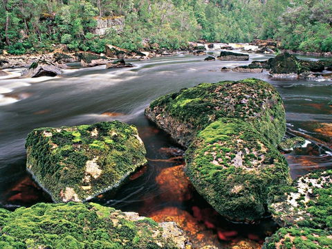 Gordon River - The - Kempsey Accommodation 2