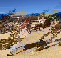 Gundersen Reserve - Kempsey Accommodation