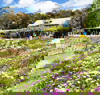 Kate's Berry Farm - Kempsey Accommodation