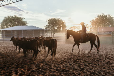 Katherine Outback Experience - Horse Riding Experience - Kempsey Accommodation 2