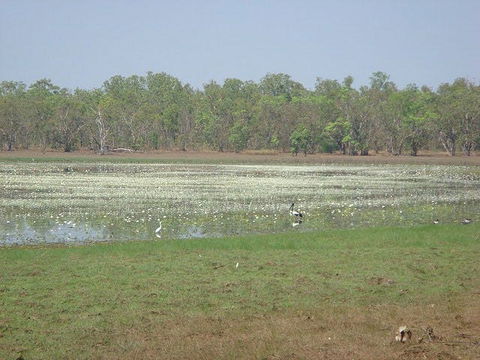 Leaning Tree Lagoon Nature Park - Kempsey Accommodation 1