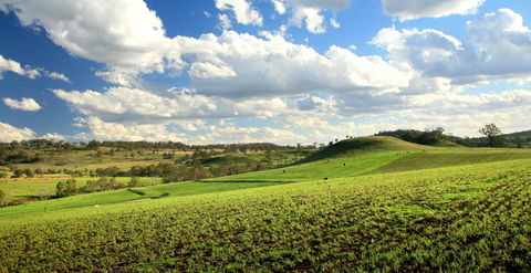 Lions Park, Hodgson Vale - Kempsey Accommodation 0