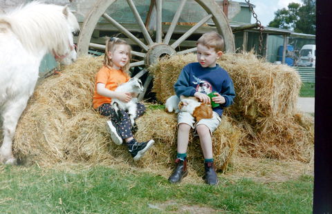 Rain Hayne And Shine Farmyard - Kempsey Accommodation 0