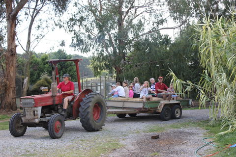 Rain Hayne And Shine Farmyard - Kempsey Accommodation 1