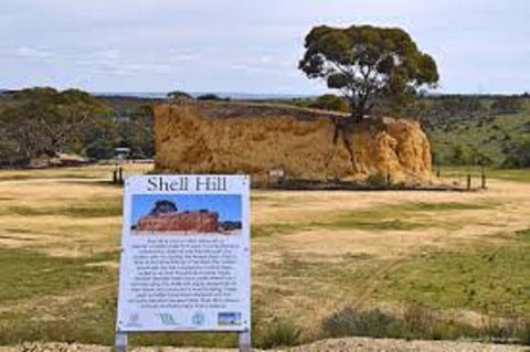 Shell Hill Reserve - Kempsey Accommodation 0