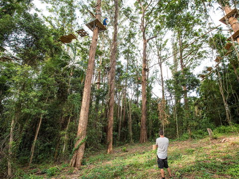 TreeTop Challenge - Sunshine Coast - Kempsey Accommodation 1