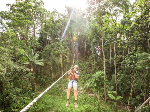 TreeTop Challenge - Sunshine Coast - Kempsey Accommodation 2